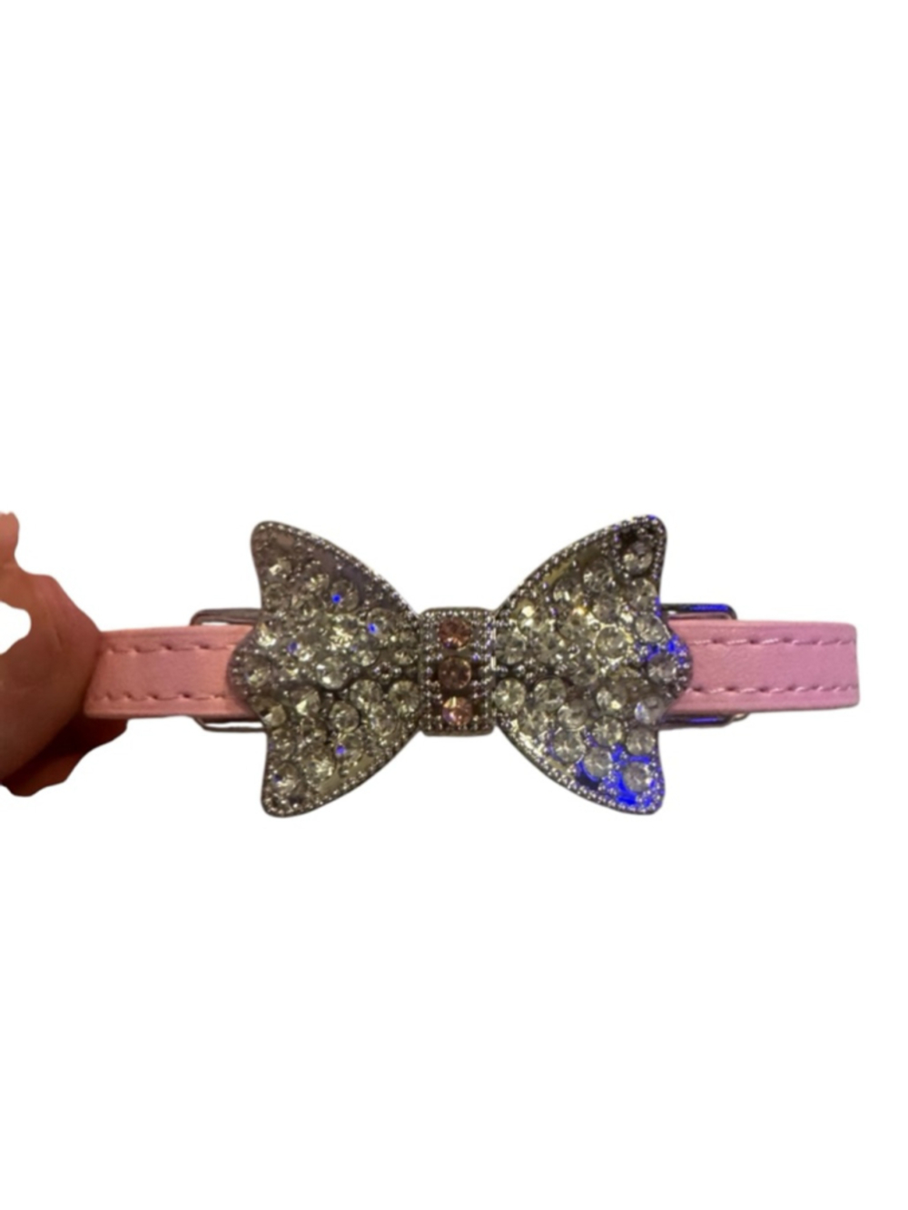 Dog or cat collar